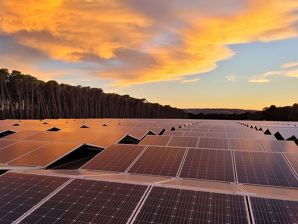 Solar Panels at Sunset