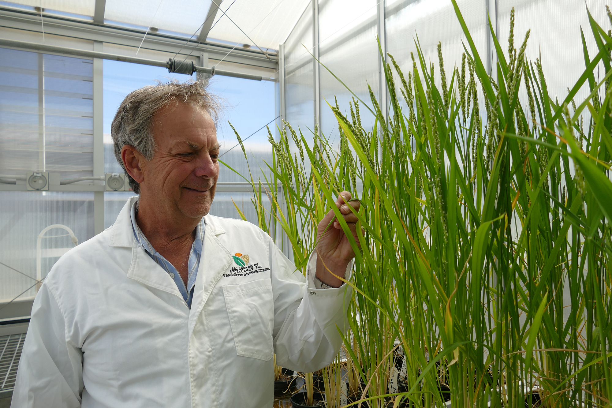 Bob Furbank with Rice