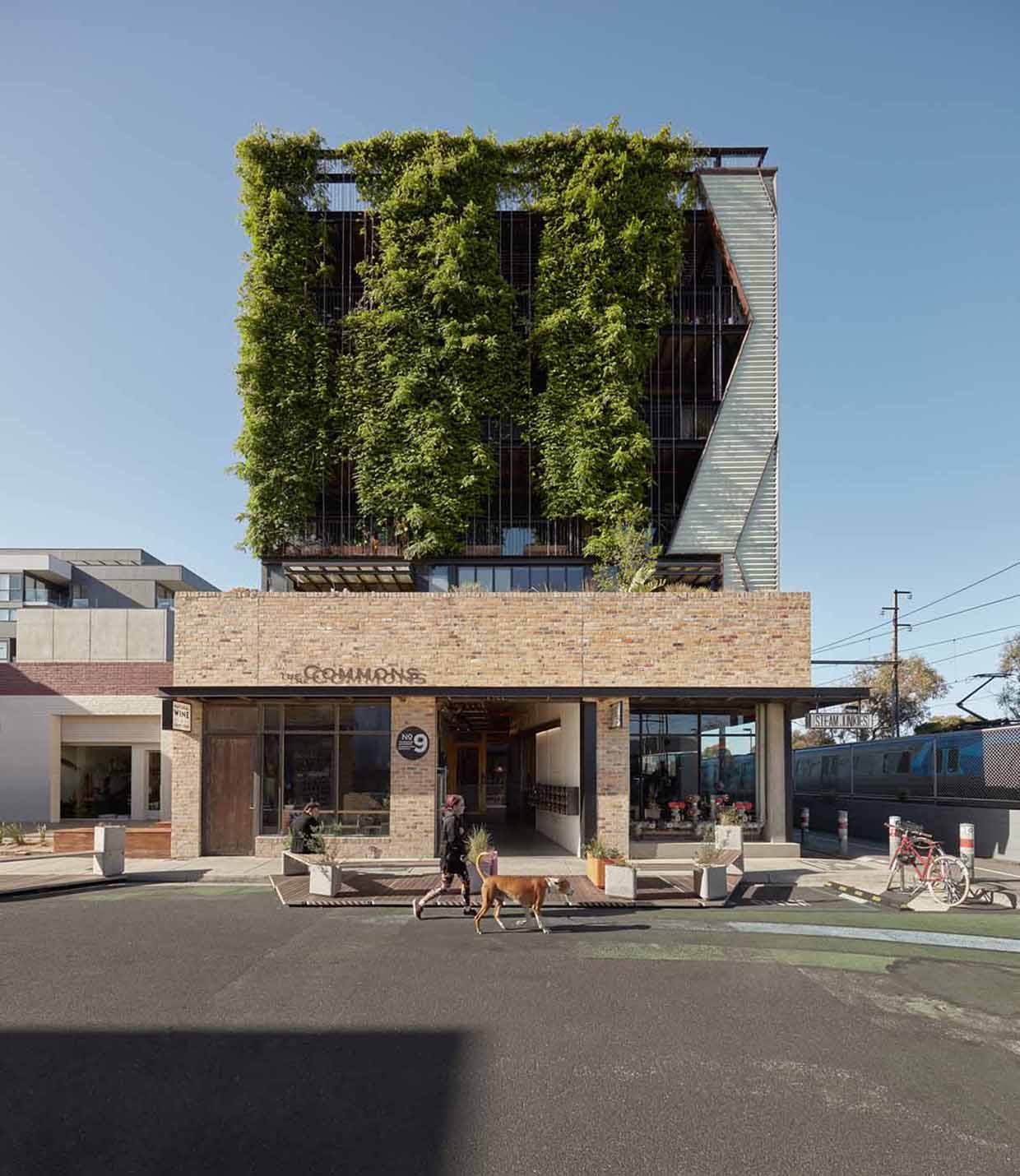 Building with towering plants atop it